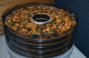 Stew in a dehydrator tray.