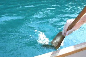 Paddle in blue water