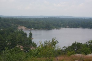 Looking down on site 311 from Blueberry Hill