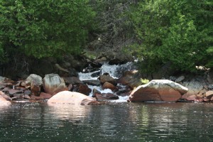 Waterfalls through cedar trees adn rocks