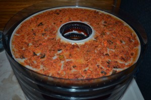 Sausage soup in the dehydrator.