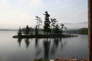 Island with trees reflecting in the water