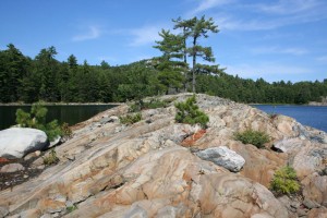 Rocks and trees on an island.