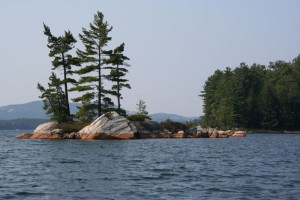 Small rock island with a few trees.