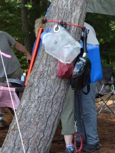 Bungee cord with hooks around a tree.