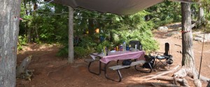 Picnic table with a table cloth.