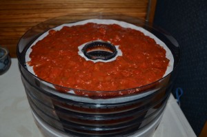 Salsa in a food dehydrator