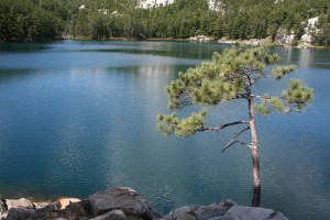 Blue Lake, white mountains and a pine tree.