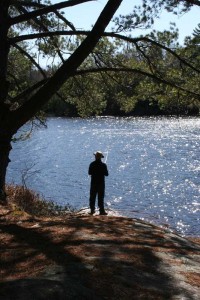 Man fishing on shore.