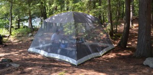 Mesh bug tent over picnic table.