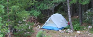 Light blue tent in trees.