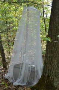 Mesh tarp over thunderbox.