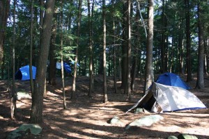 tents in a pine forest.