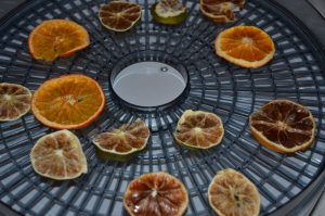 Oranges, lemons and limes in the dehydrator
