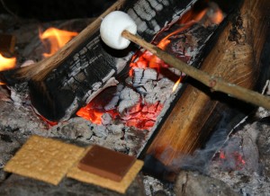 Marshmallow on a stick over coals.