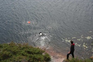 Woman by the water and a border collie swiming after a frisbee.