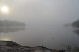 Sun through the mist.