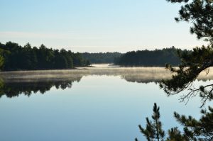 Mist and still lake.