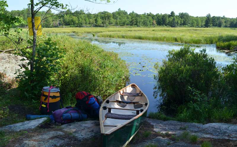 Canoe and packs and a swamp.