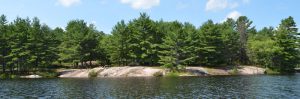 Rock shoreline from the water.