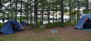 Three tents in the trees.