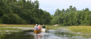 two canoes paddling up a channel