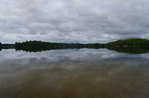 view up the lake with sandy lake bottom