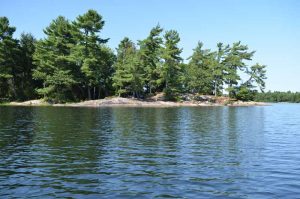 rock and trees and tents from the water