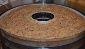 bean dip on the dehydrator