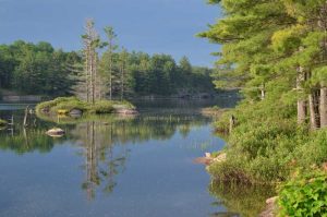 Dark clouds with trees reflecting on water