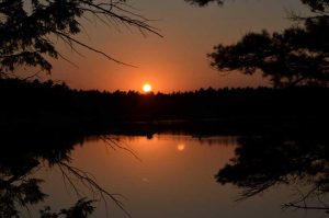 orange sunset over lake and treeline