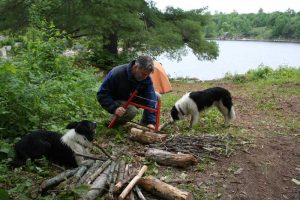 man with saw with two black and white dogs.