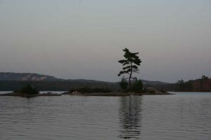 small island with one tree with white hills in the distance