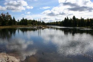 clouds in water in marshy area