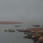 rocks, shoreline, mist.