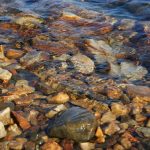 rocks in the water