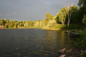 sun on trees over lake wiht dark clouds