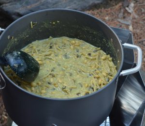 In a pot in camp