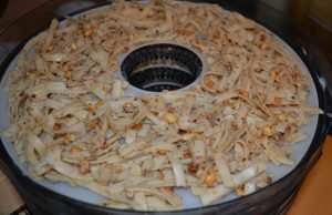 Thai Noodles in the Dehydrator