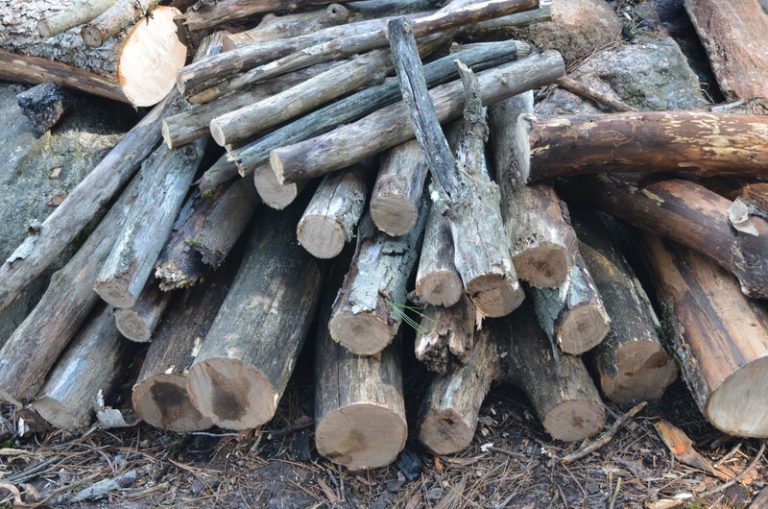 Finding the Right Wood