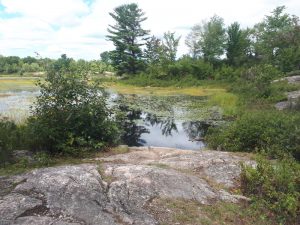 Rocks and lake