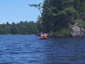 two women paddling near short with an overhanging tree