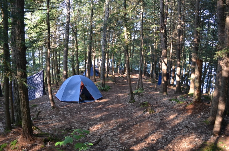 Two blue tents surrounded by trees.