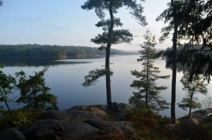 Misty morning view from the cliff