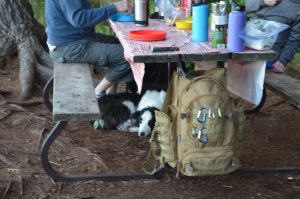 brown backpack hanging on a picnic table