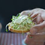 crackers, sprouts and cheese