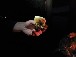 hand holding a brownie with a marshmellow