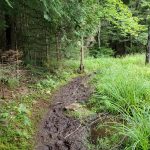 portage through mud