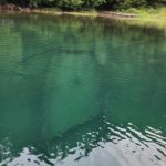 sunken boat